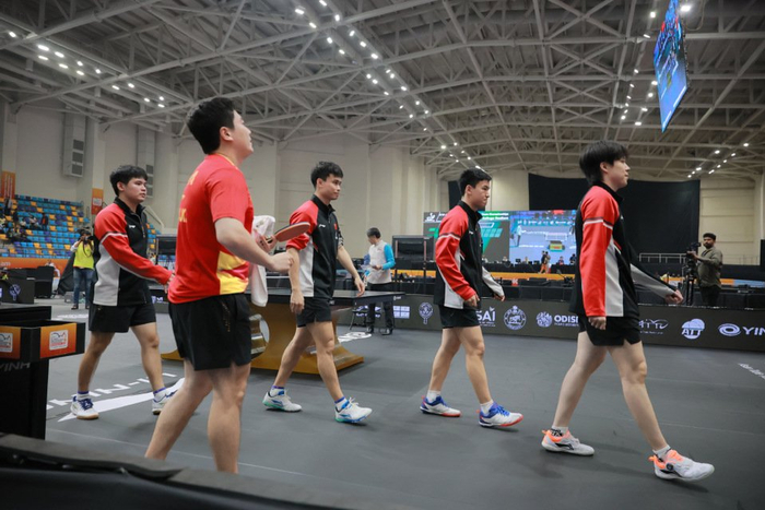 马龙许昕成国乒备战世乒赛关键助力