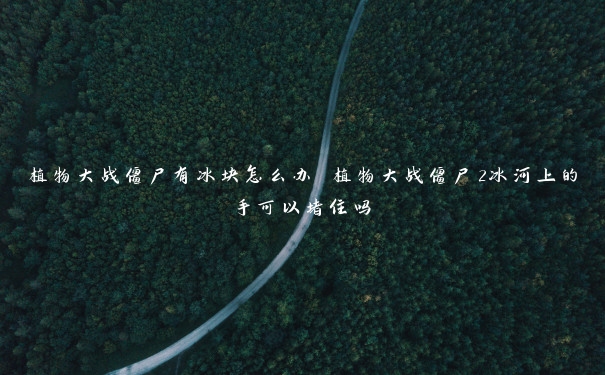 植物大战僵尸有冰块怎么办 植物大战僵尸2冰河上的手可以堵住吗 植物大战僵尸有冰块怎么办 植物大战僵尸2冰河上的手可以堵住吗