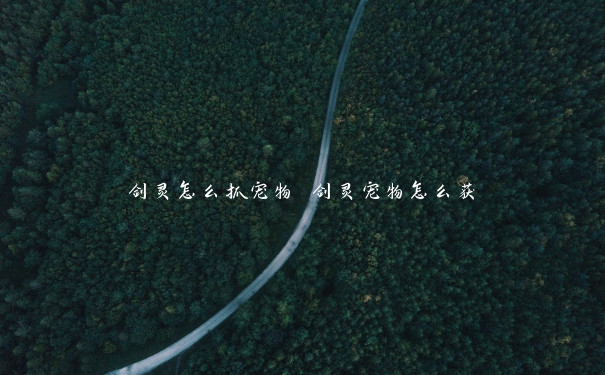 剑灵怎么抓宠物 剑灵宠物怎么获 剑灵怎么抓宠物 剑灵宠物怎么获