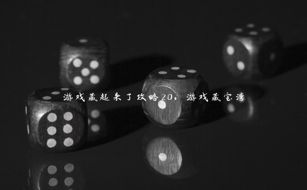游戏藏起来了攻略20，游戏藏宝湾