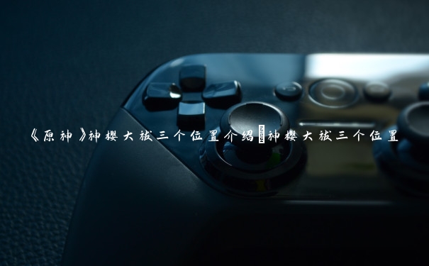 《原神》神樱大祓三个位置介绍_神樱大祓三个位置 《原神》神樱大祓三个位置介绍_神樱大祓三个位置