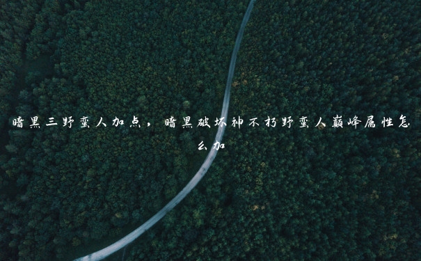 暗黑三野蛮人加点,暗黑破坏神不朽野蛮人巅峰属性怎么加 暗黑三野蛮人加点,暗黑破坏神不朽野蛮人巅峰属性怎么加