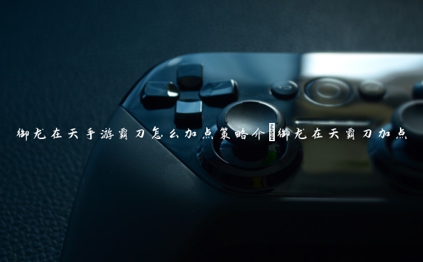 御龙在天手游霸刀怎么加点策略介_御龙在天霸刀加点