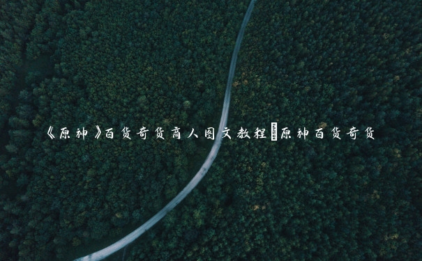 《原神》百货奇货商人图文教程_原神百货奇货