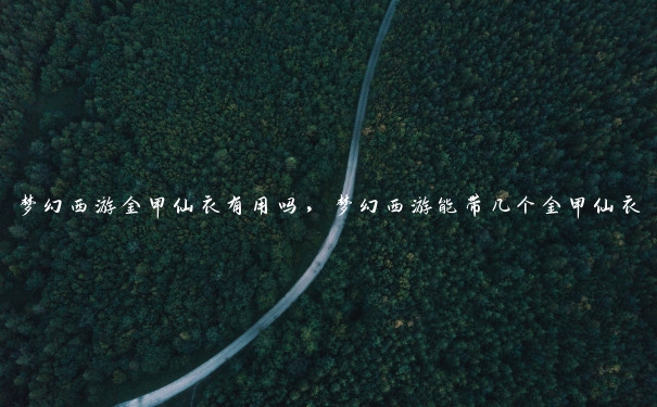 梦幻西游金甲仙衣有用吗,梦幻西游能带几个金甲仙衣 梦幻西游金甲仙衣有用吗,梦幻西游能带几个金甲仙衣