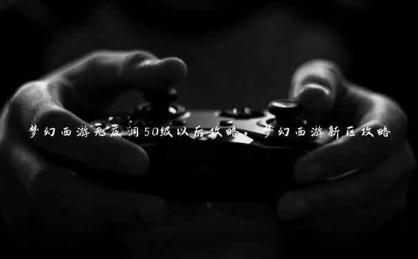 梦幻西游无底洞50级以后攻略，梦幻西游新区攻略