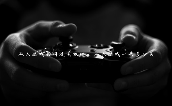 双人游戏共同过关攻略，双人游戏一共多少关