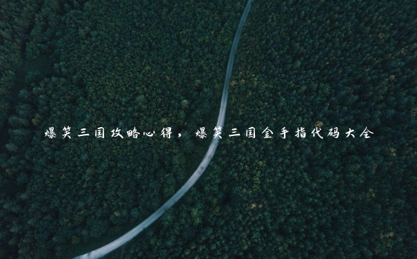爆笑三国攻略心得,爆笑三国金手指代码大全 爆笑三国攻略心得,爆笑三国金手指代码大全