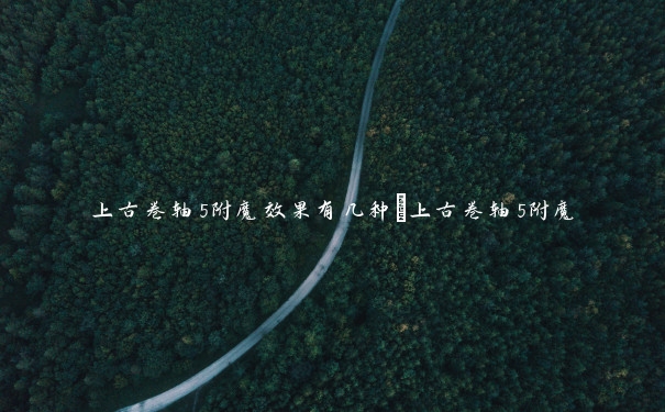 上古卷轴5附魔效果有几种_上古卷轴5附魔