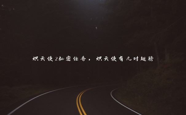 炽天使2秘密任务,炽天使有几对翅膀 炽天使2秘密任务,炽天使有几对翅膀