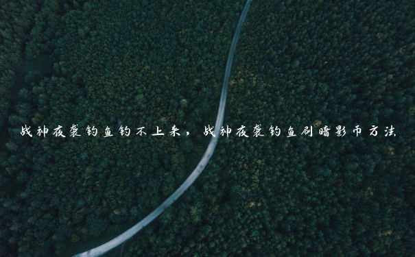 战神夜袭钓鱼钓不上来,战神夜袭钓鱼刷暗影币方法 战神夜袭钓鱼钓不上来,战神夜袭钓鱼刷暗影币方法