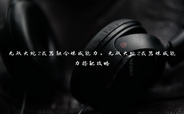 无双大蛇z武器融合炼成能力,无双大蛇z武器炼成能力搭配攻略 无双大蛇z武器融合炼成能力,无双大蛇z武器炼成能力搭配攻略