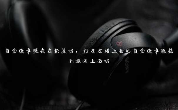 白金徽章镶嵌在换装吗,打在左槽上面的白金徽章能搞到换装上面吗 白金徽章镶嵌在换装吗,打在左槽上面的白金徽章能搞到换装上面吗
