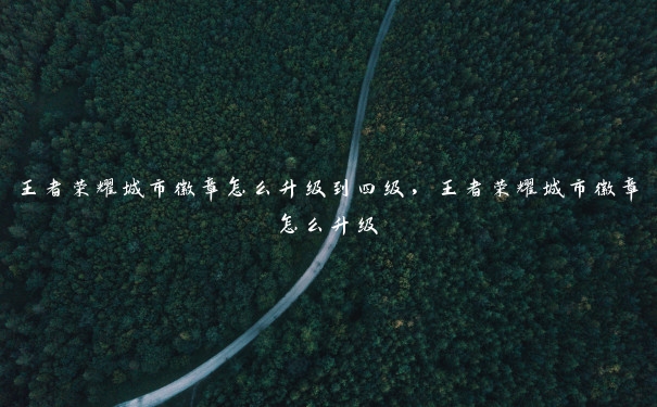 王者荣耀城市徽章怎么升级到四级,王者荣耀城市徽章怎么升级 王者荣耀城市徽章怎么升级到四级,王者荣耀城市徽章怎么升级