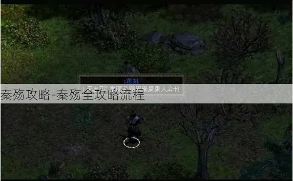秦殇攻略详细解析-秦殇攻略技巧解析