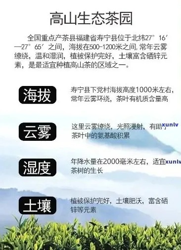 庄周高山流水多少钱-庄周高山流水身价解析